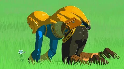 Botw zelda butt