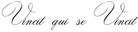 "Vincit qui se Vincit" - tattoo lettering, download free sce