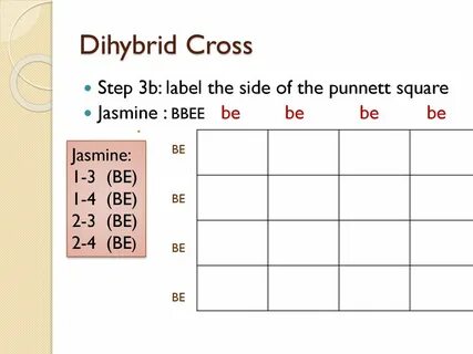 Dihybrid Cross. - ppt download