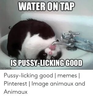 WATER ON TAP GOOD IS PUSSY-LICKING Pussy-Licking Good Memes 