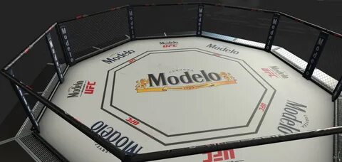 Groove Jones - Modelo and UFC Fans Celebrate the Fighting Sp