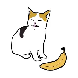 cat no banana - Cat No Banana - Onesie TeePublic