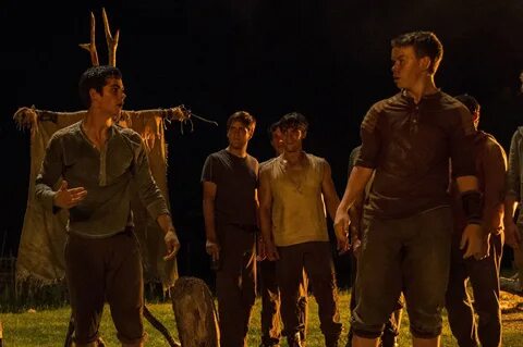 Stills - The Maze Runner