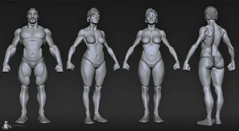 ...Дизайн Персонажей, Анатомическое Строение Тела, Zbrush, Анатомия Человек...