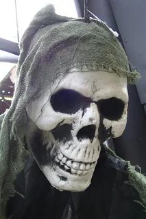 Download free photo of Scary,skeleton,skeletons,skull,skulls