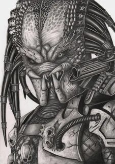 Predator' graphite drawing by Pen-Tacular-Artist on deviantA