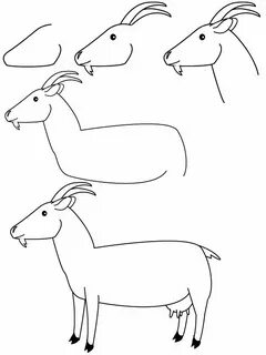 Drawing goat Art drawings for kids, Easy drawings, Drawing l