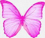 Super Tutolover, mariposa rosa, png PNGEgg