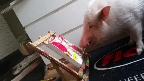 That'll do pig, that'll do! - GIF on Imgur