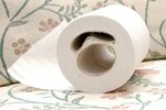 File:Toilet paper roll with two cardboard tubes (6785179871)
