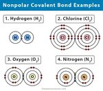 Ethanol Polar Or Nonpolar / Polar and Nonpolar Molecules : P