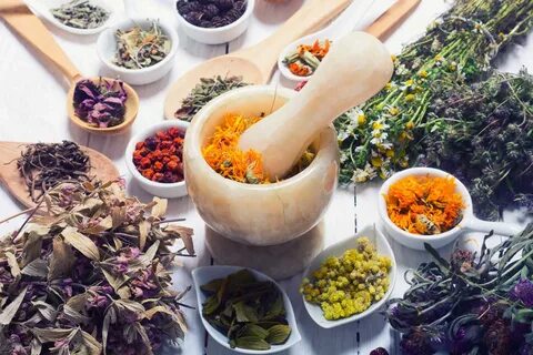 Workshop: Herbal Cosmetics - La Bibioteca