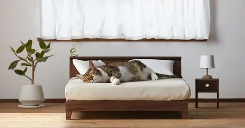 Miniature Cat Furniture From Japan To Please Your Master Bor