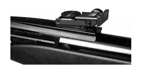 Gamo Whisper Silent Cat, .177 cal Spring-piston Air Rifle Ai