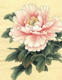 Image result for peony in korean Flores pintadas, Arte flor,