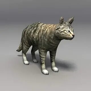 3D model Lowpoly Cat VR / AR / low-poly CGTrader