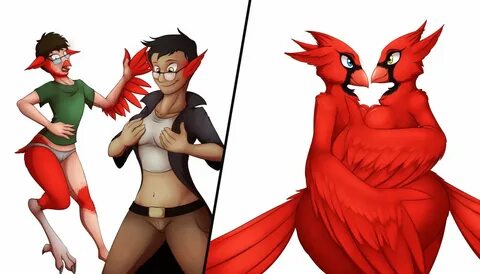 Bird tf tg by Tomek1000 -- Fur Affinity dot net