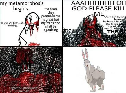 Big Chungus My Metamorphosis Begins Know Your Meme