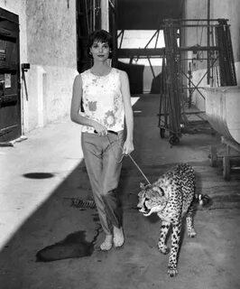 Elsa Martinelli walking a cheetah on the Paramount lot durin