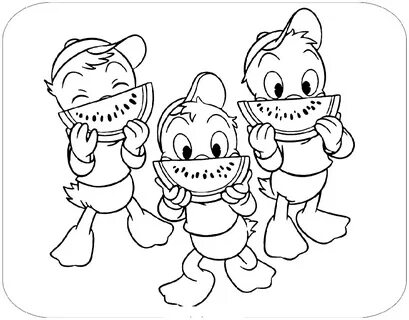 Watermelon Coloring Pages - 101 Coloring