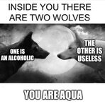 Aqua useless=funny Inside You There Are Two Wolves Know Your
