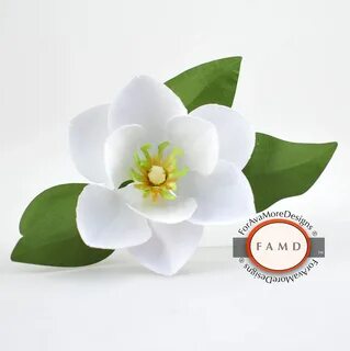 Magnolia Flower Svg Vinyl Related Keywords & Suggestions - M