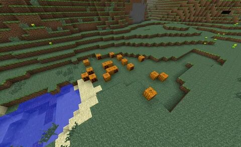 Largest pumpkin patch contest - Seeds - Minecraft: Java Edit