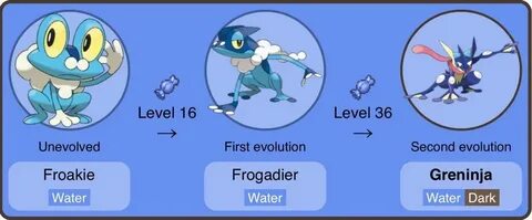 Froakie Wiki Pokémon Amino
