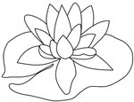 Coloring Page Lily Pad