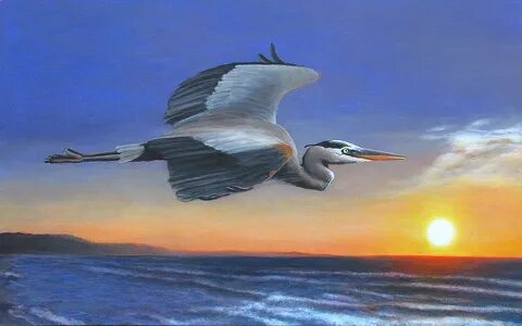 Great Blue Heron Sunrise Flight Painting by Charles Wallis F