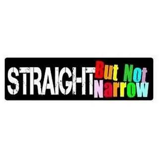 STRAIGHT BUT NOT NARROW Gay Pride Rainbow Sticker Equality L