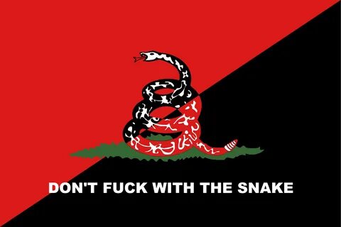 anarcho-syndicalist variant Gadsden Flag / Don't Tread On Me