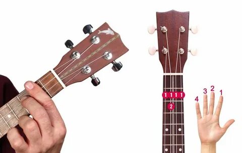 B7 Uke Chord 10 Images - F7 Ukulele Chord, F7 Ukulele Chord,