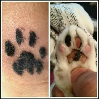 my tattoo. I used an inkpad to get my cats pawprint. Cat paw