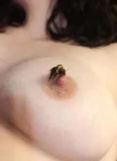 Sex images Bee on nipple Porn pics by THE-SEX.me