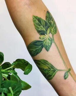 Green Vine Tattoos Related Keywords & Suggestions - Green Vi