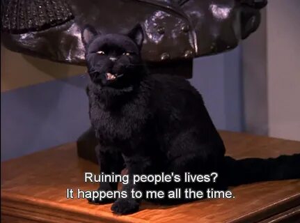 Salem, the cat. Melhores gatos, Citações da tv, Frases de mu