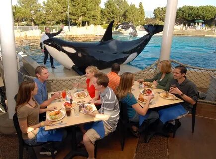 Dine With Shamu Related Keywords & Suggestions - Dine With S