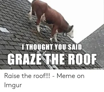 🐣 25+ Best Memes About Raise the Roof Meme Raise the Roof Me