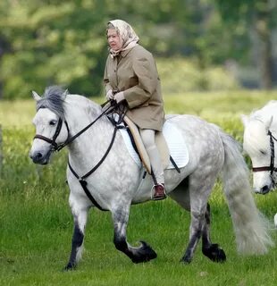 The Queen, 96, is riding her beloved horse again - nine months after she was tol