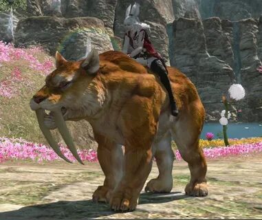 Lava Tiger Fr Mount Icon Wiki Final Fantasy Xiv Ffxiv - Mobi