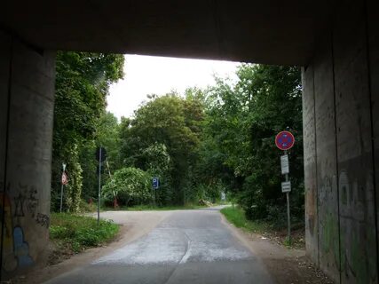 File:Zugang zum Binsfeld direkt unterhalb des Hochgestades.j