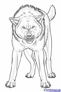 Simple Snarling Wolf Drawing : Snarling wolf lineart sketch 