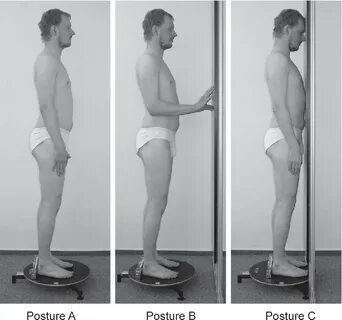 Figure 1 from Influence of selected examination postures on 