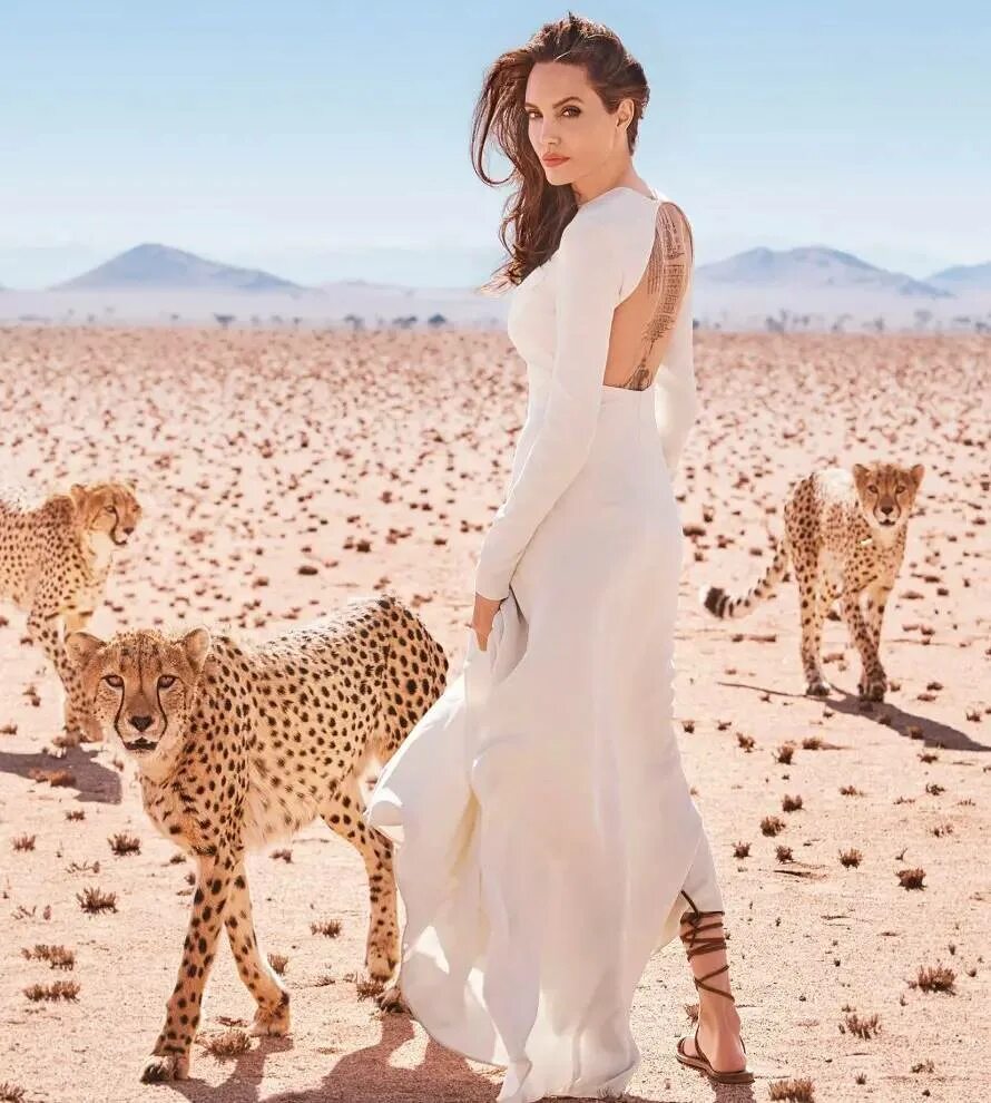 @angelinajolie_fanaccount1 в Instagram: "angelina jolie with cheetahs ...