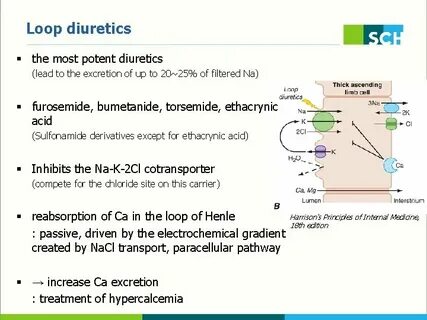 Diuretics 2011 10 19 R 3 Introduction among