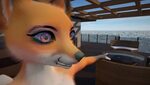 Fox eye clipping - Yiffalicious forum