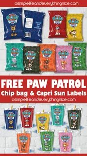 Paw Patrol Skye Party Favors,Kit Paw Patrol,Chip Bags,Capris