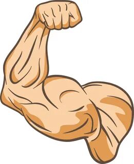 Download Muscle Clip Art - Muscle Clip Art Png - Full Size P