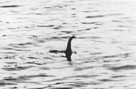 Loch Ness : Nessie Unmasked Loch Ness Monster Might Be Giant